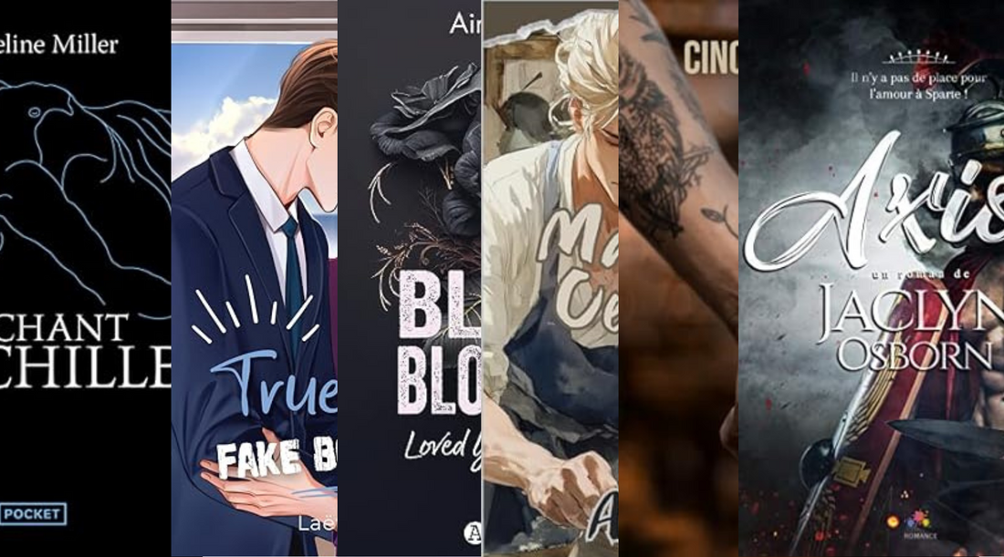 Les meilleurs livres de romance gay